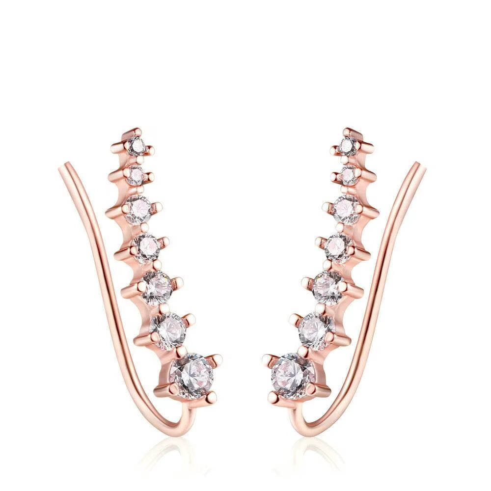 RoséLuxe™ Zircon Drop Hook Earrings – Pure Elegance in Every Sparkle